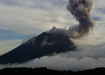 Fiscalía ordena captura de estafadores y extorsionistas de la zona central y paracentral del país