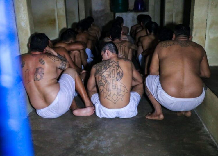 El Salvador acumula 18 días sin homicidios en lo que va del mes de noviembre