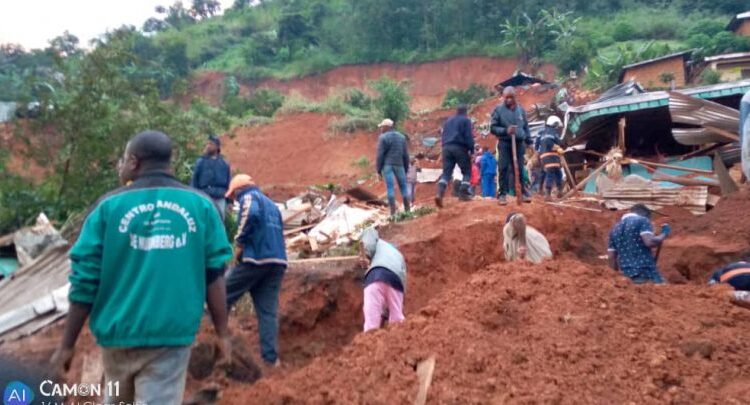 El Salvador acumula 18 días sin homicidios en lo que va del mes de noviembre