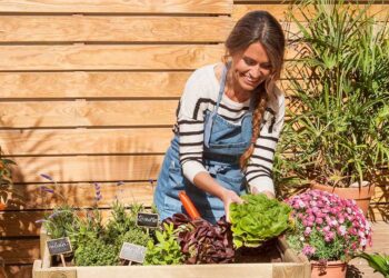 Sigue en Nepal la búsqueda de las víctimas de accidente aéreo
