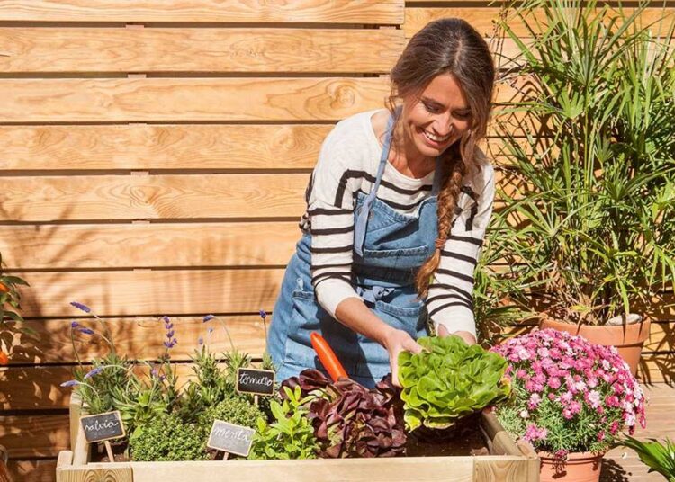 Sigue en Nepal la búsqueda de las víctimas de accidente aéreo