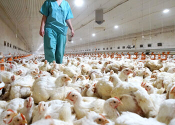 Lluvias, aludes y socavones no dan tregua a California