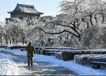 Vicepresidenta de Colombia denuncia hallazgo de 7 kilos de explosivos cerca de su casa