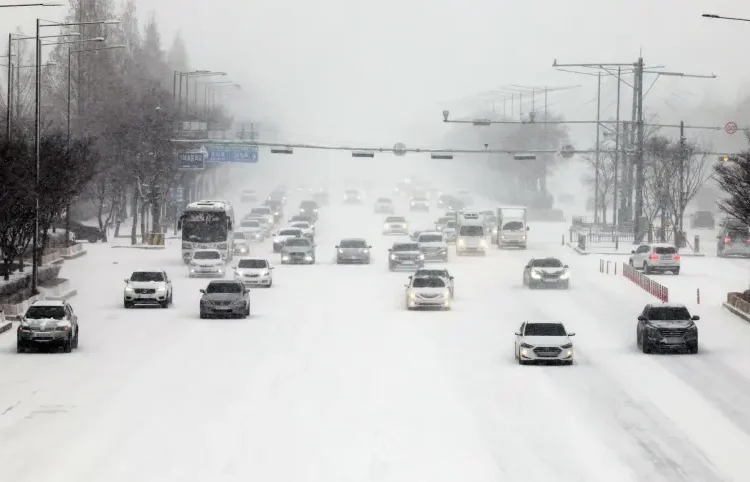 Serbia anuncia el descubrimiento de uno de los más grandes yacimientos de oro en el mundo