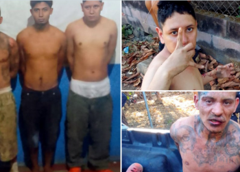 Vicepresidenta de Colombia denuncia hallazgo de 7 kilos de explosivos cerca de su casa