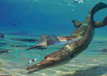 FBI registra otra casa de Biden en busca de más documentos clasificados