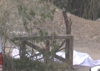 Encuentran 14 cuerpos de migrantes tras volcar camioneta en México