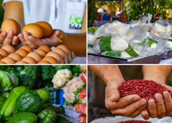 𝗚𝗼𝗯𝗶𝗲𝗿𝗻𝗼 𝗹𝗮𝗻𝘇𝗮 𝟭𝟲 𝗔𝗴𝗿𝗼𝗠𝗲𝗿𝗰𝗮𝗱𝗼𝘀 𝗮 𝗲𝘀𝗰𝗮𝗹𝗮 𝗻𝗮𝗰𝗶𝗼𝗻𝗮𝗹, 𝗽𝗮𝗿𝗮 𝗳𝗮𝘃𝗼𝗿𝗲𝗰𝗲𝗿 𝗹𝗮 𝗲𝗰𝗼𝗻𝗼𝗺í𝗮 𝗳𝗮𝗺𝗶𝗹𝗶𝗮𝗿