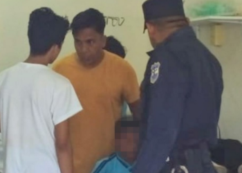 Alumnos son trasladados a centro asistencial tras ataque de abejas