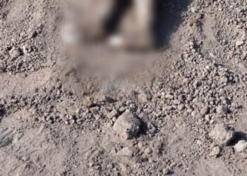 Hallan semienterrado en Sinaloa cuerpo de niña de 3 años