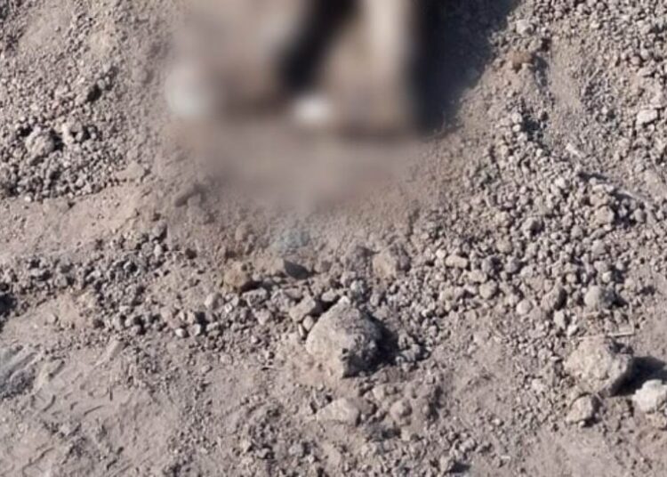 Hallan semienterrado en Sinaloa cuerpo de niña de 3 años