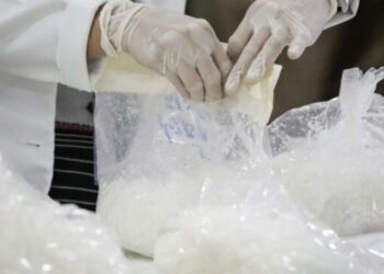 EE.UU. en alerta por el «fuerte aumento» del tráfico de la letal ‘droga zombi’