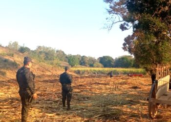 Policía Nacional Civil garantiza seguridad en zonas agrícolas del país