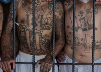 Terroristas de la MS son condenados por limitar libre circulación a ciudadano