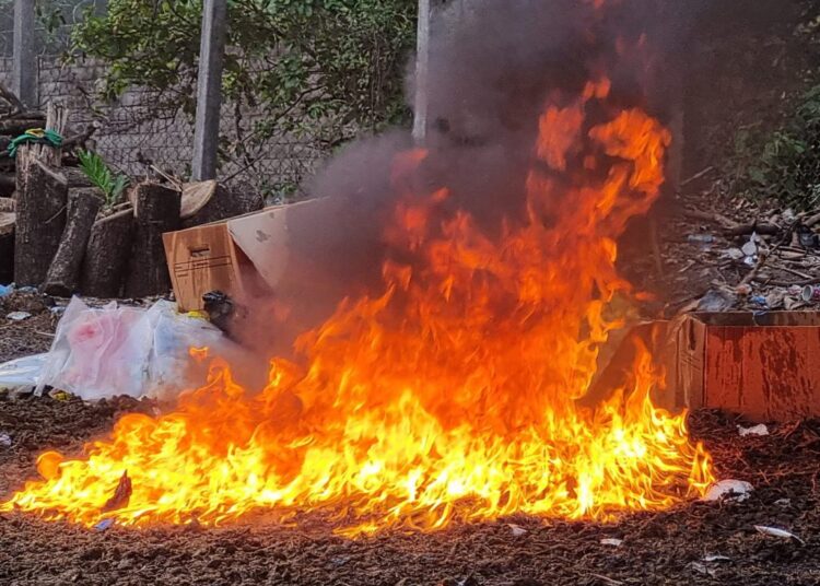 Destruyen cocaína y marihuana incautada en la zona oriental