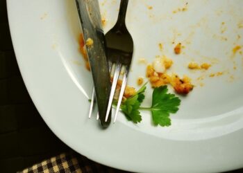 Prueban con éxito en ratones nanopartículas que reducen sensación de hambre