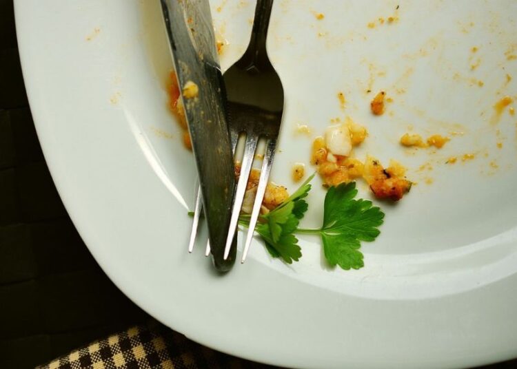 Prueban con éxito en ratones nanopartículas que reducen sensación de hambre