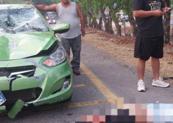 Trágico accidente en carretera a Santa Ana: mujer pierde la vida tras ser embestida por un vehículo particular