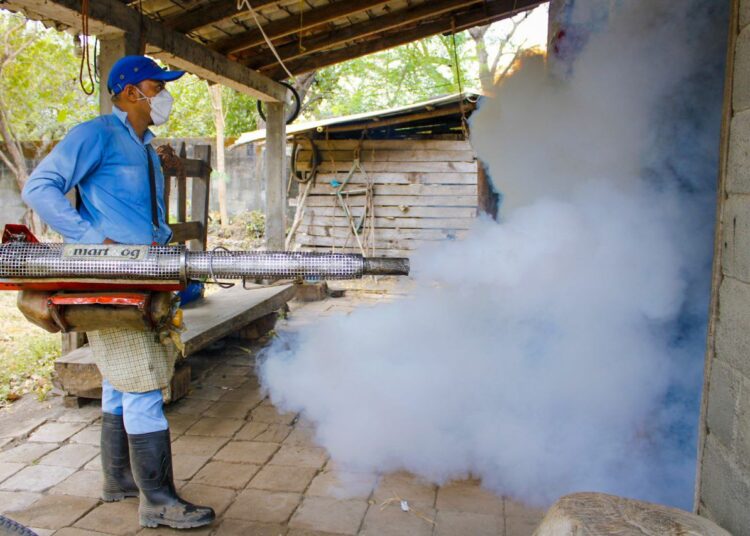 Ministerio de Salud lleva a cabo jornadas de fumigación para controlar la presencia del zancudo en hogares del país