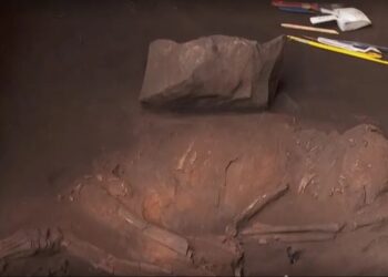 Hallan fósil humano en Brasil que podría tener 12 mil años