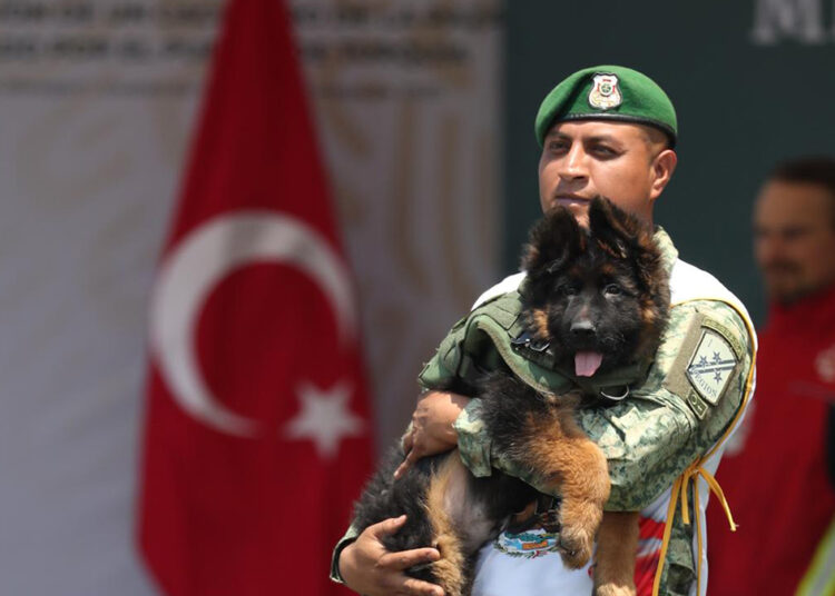 México presenta a cachorro de rescate donado por Turquía