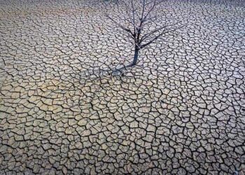 OMM prevé 2 años de aumento de temperaturas con la llegada de El Niño