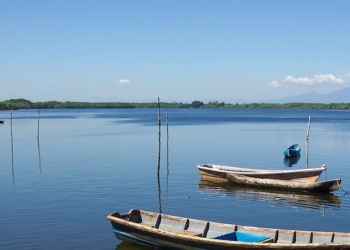 Hermanos pescadores condenados a larga pena por lavar más de US$100 mil