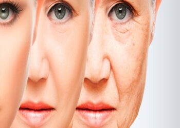 Científicos de Hong Kong encuentran posible clave para retrasar el envejecimiento