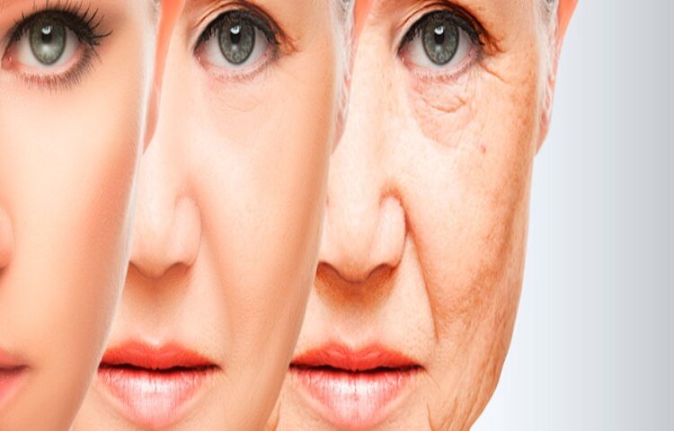 Científicos de Hong Kong encuentran posible clave para retrasar el envejecimiento