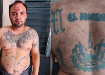 Capturado en México: Pandillero de la MS13, alias «Terrible», es entregado a la justicia salvadoreña