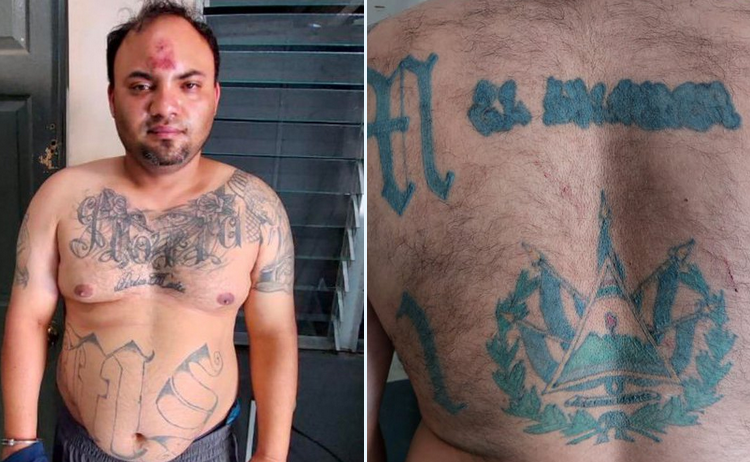 Capturado en México: Pandillero de la MS13, alias «Terrible», es entregado a la justicia salvadoreña