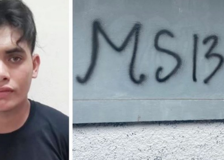 Marero sorprendido en flagrancia al vandalizar Apopa con grafitis de la MS-13
