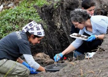 Hallan restos humanos en predio militar en Uruguay