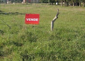 Comercialización irregular de lotes será castigada hasta con 12 años de cárcel