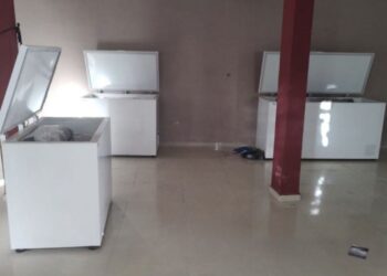 Horror en Veracruz: Hallan 32 cadáveres dentro de hieleras y refrigeradores