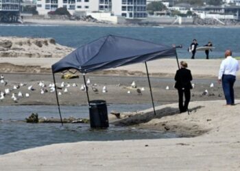 Hallan cadáver dentro de un barril flotando en playa de California