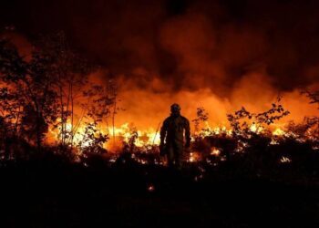 España en alerta por ola de calor tras un fin de semana de incendios