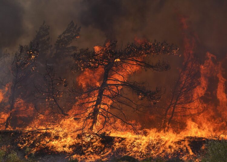 Grecia registra 122 incendios con rebrotes