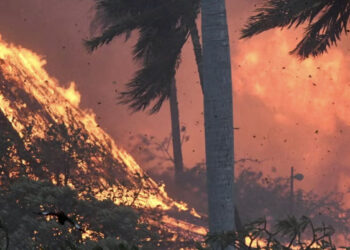 Elevan a 106 el número de fallecidos por los incendios en Hawai