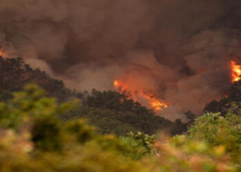 Voraz incendio en España consume más de dos mil hectáreas