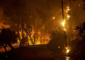 Encuentran los cuerpos calcinados de al menos 26 supuestos migrantes en los incendios en el noreste de Grecia