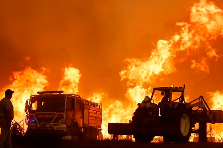 Incendio deja cerca de 1.500 evacuados en Portugal