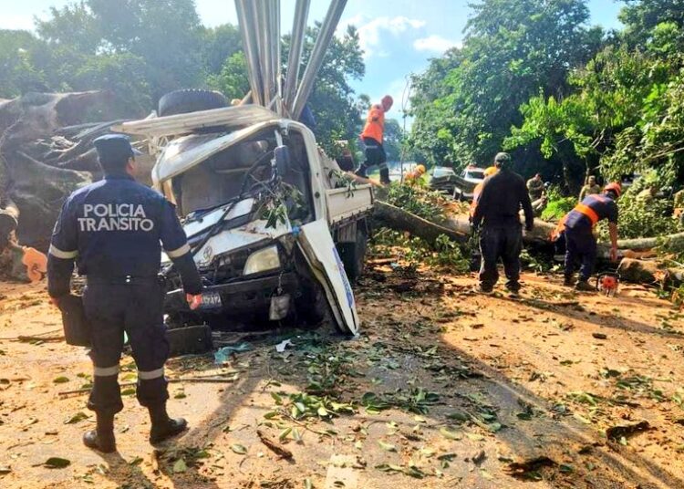 Accidente en la carretera San Salvador-Santa Ana deja varios heridos tras la caída de un árbol