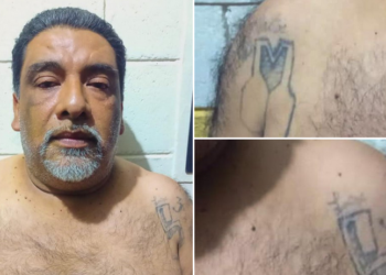 Capturan a veterano pandillero de la MS que delinquía en Santa Ana