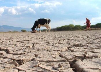 Bolivia reporta más 27 mil familias damnificadas por la sequía que afecta el país