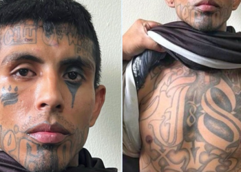 Operación conjunta en la frontera de Las Chinamas captura a temido terrorista de la pandilla 18