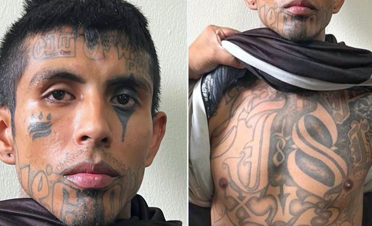 Operación conjunta en la frontera de Las Chinamas captura a temido terrorista de la pandilla 18