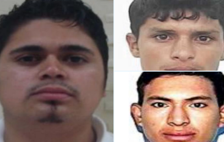Capturan a tres pandilleros de la MS13 que intentaron huir a Honduras y Nicaragua