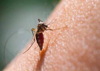 Nicaragua reporta 461 casos confirmados de dengue y 5.718 sospechosos en la última semana