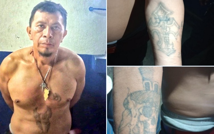 Pandillero que intentó ocultar sus tatuajes de la MS13 fue capturado